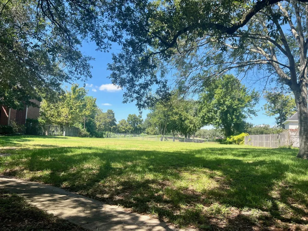 54 Greensward Lane Sugar Land, TX 77479