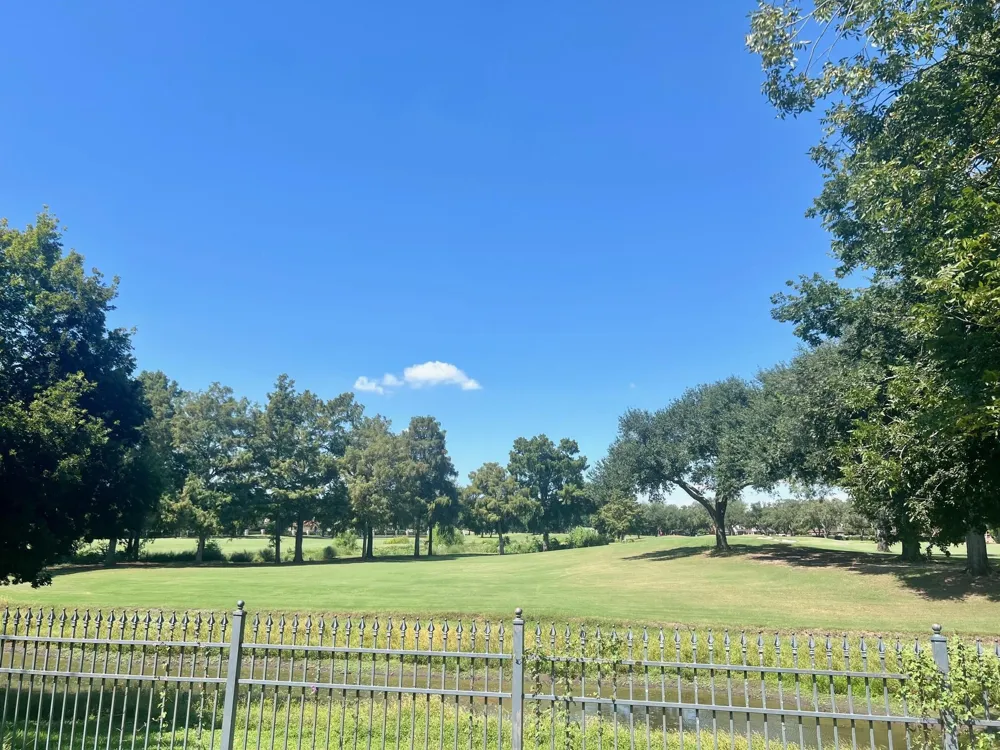 54 Greensward Lane Sugar Land, TX 77479