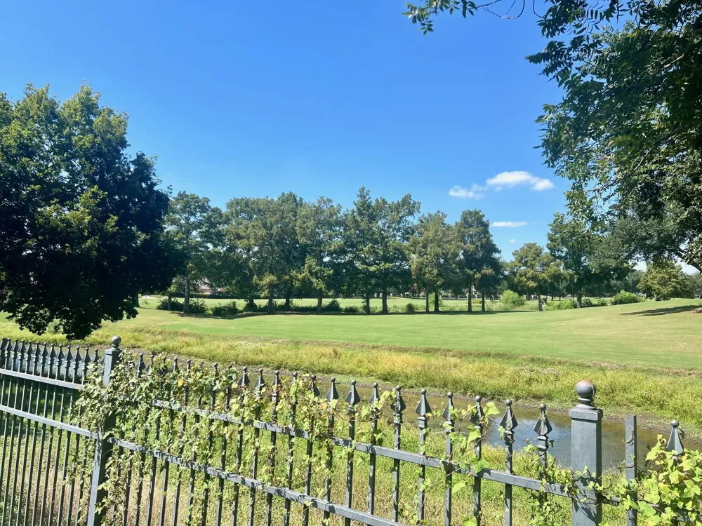 54 Greensward Lane Sugar Land, TX 77479