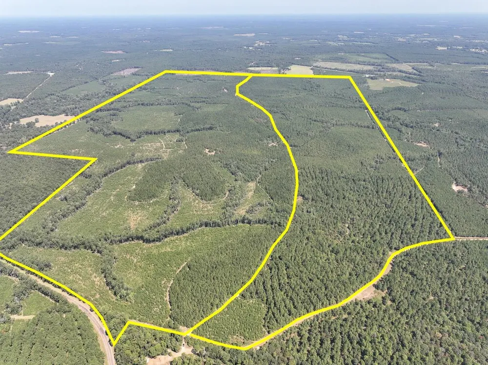 2 Cr 2300 Woodville, TX 75979