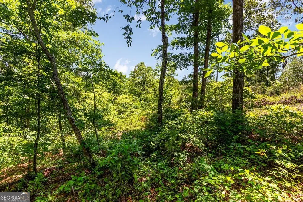 LT 160 Shallow Water TRL Talking Rock, GA 30175