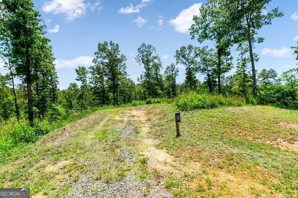 LT 160 Shallow Water TRL Talking Rock, GA 30175