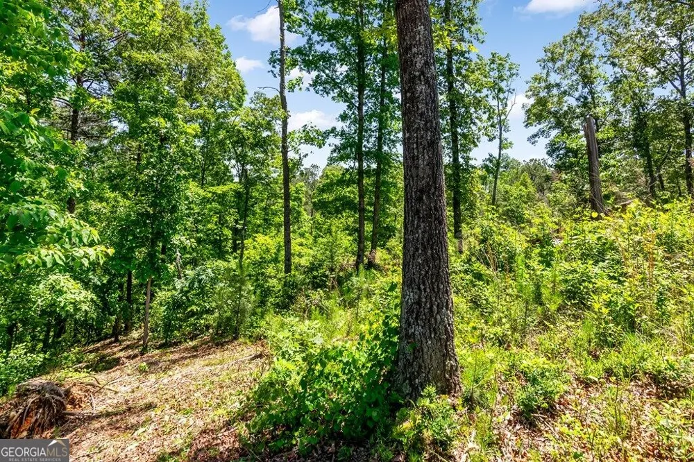 LT 160 Shallow Water TRL Talking Rock, GA 30175
