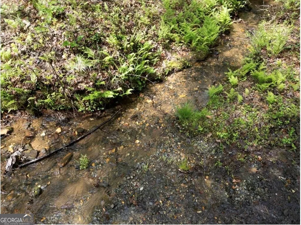 LT 160 Shallow Water TRL Talking Rock, GA 30175