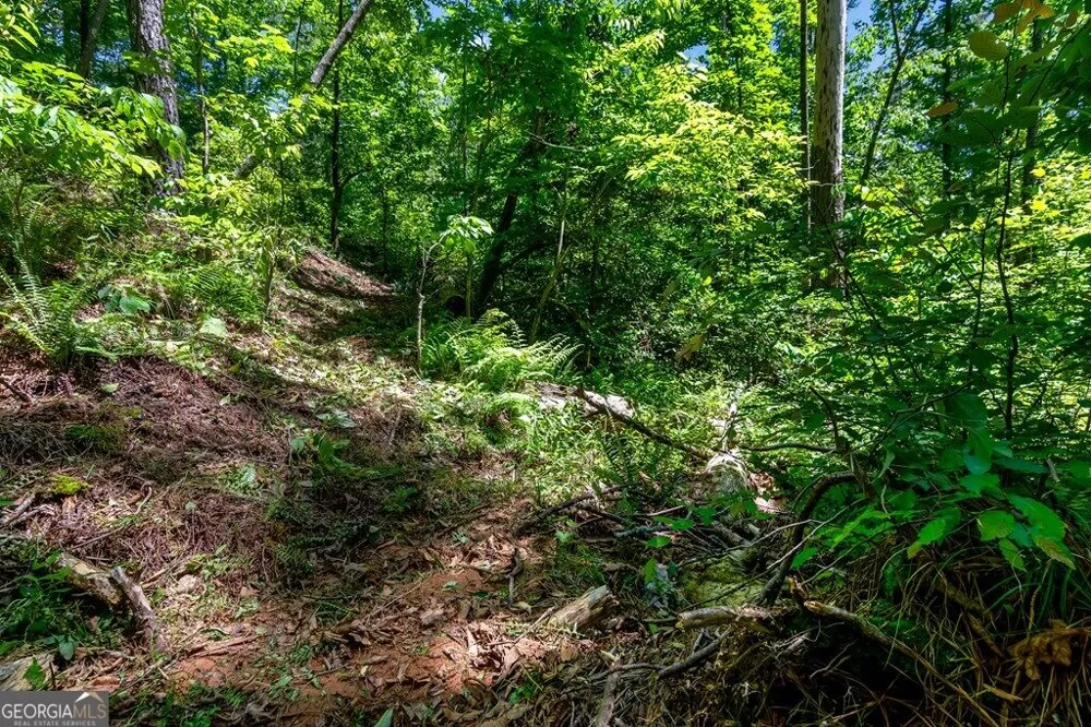 LT 160 Shallow Water TRL Talking Rock, GA 30175