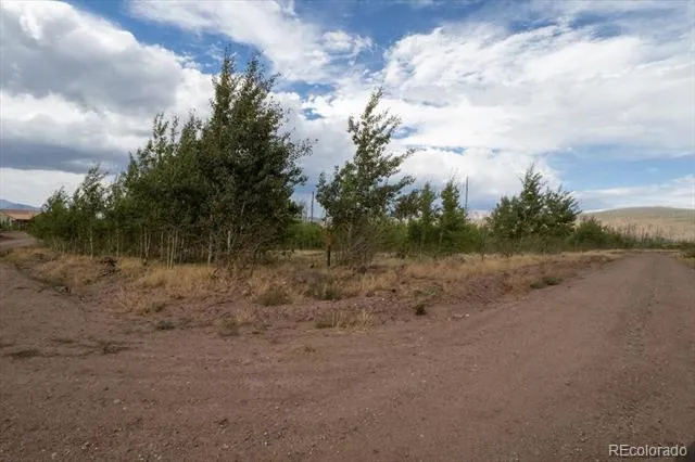 Lot 1316 Biaggini Lane Fort Garland, CO 81133