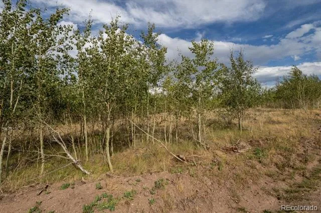 Lot 1316 Biaggini Lane Fort Garland, CO 81133