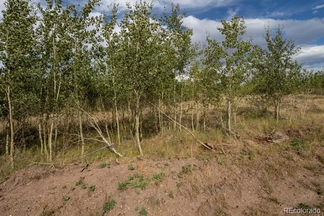 Lot 1316 Biaggini Lane Fort Garland, CO 81133