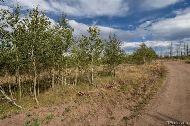 Lot 1316 Biaggini Lane Fort Garland, CO 81133