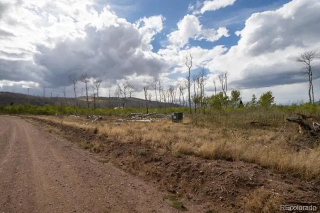 Lot 1316 Biaggini Lane Fort Garland, CO 81133