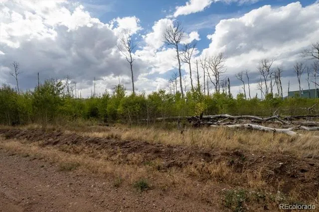 Lot 1316 Biaggini Lane Fort Garland, CO 81133