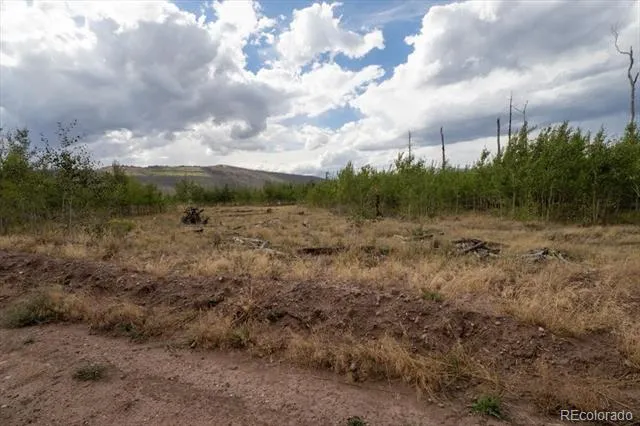 Lot 1316 Biaggini Lane Fort Garland, CO 81133