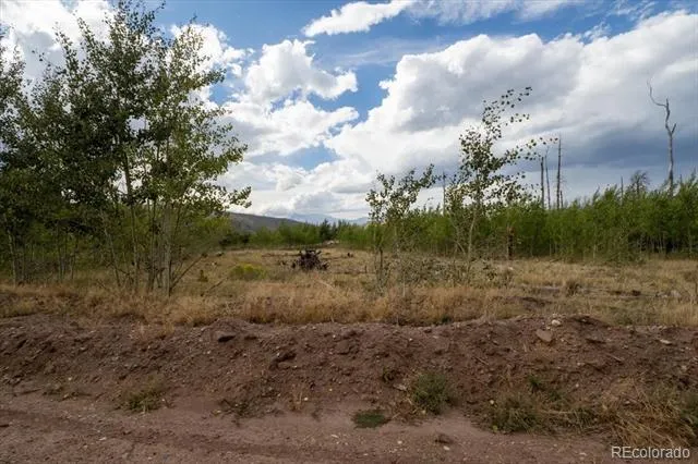Lot 1316 Biaggini Lane Fort Garland, CO 81133
