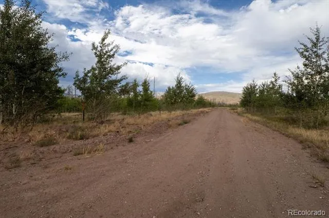Lot 1316 Biaggini Lane Fort Garland, CO 81133