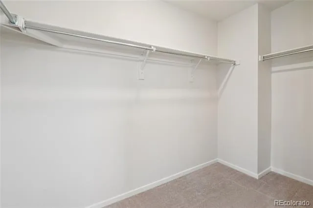 5672 Jedidiah Drive Timnath, CO 80547