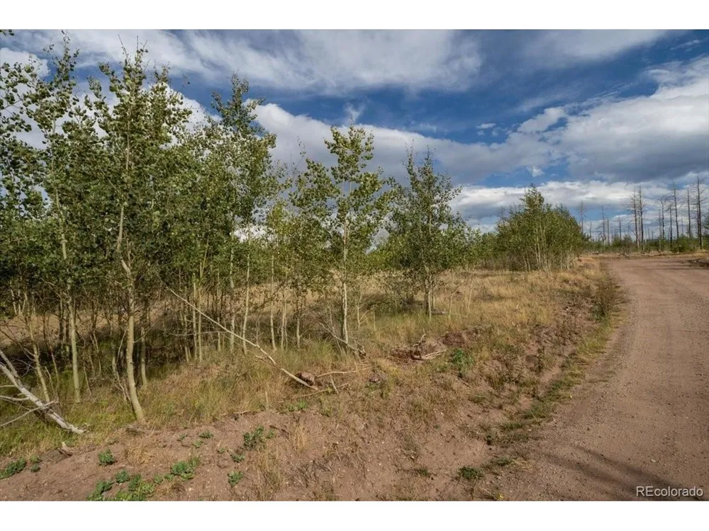 1316 Biaggini Lane Fort Garland, CO 81133