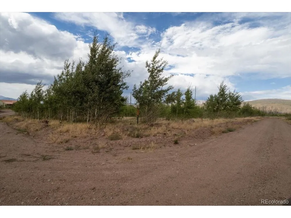 1316 Biaggini Lane Fort Garland, CO 81133