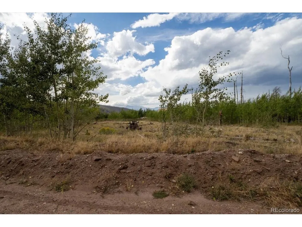 1316 Biaggini Lane Fort Garland, CO 81133