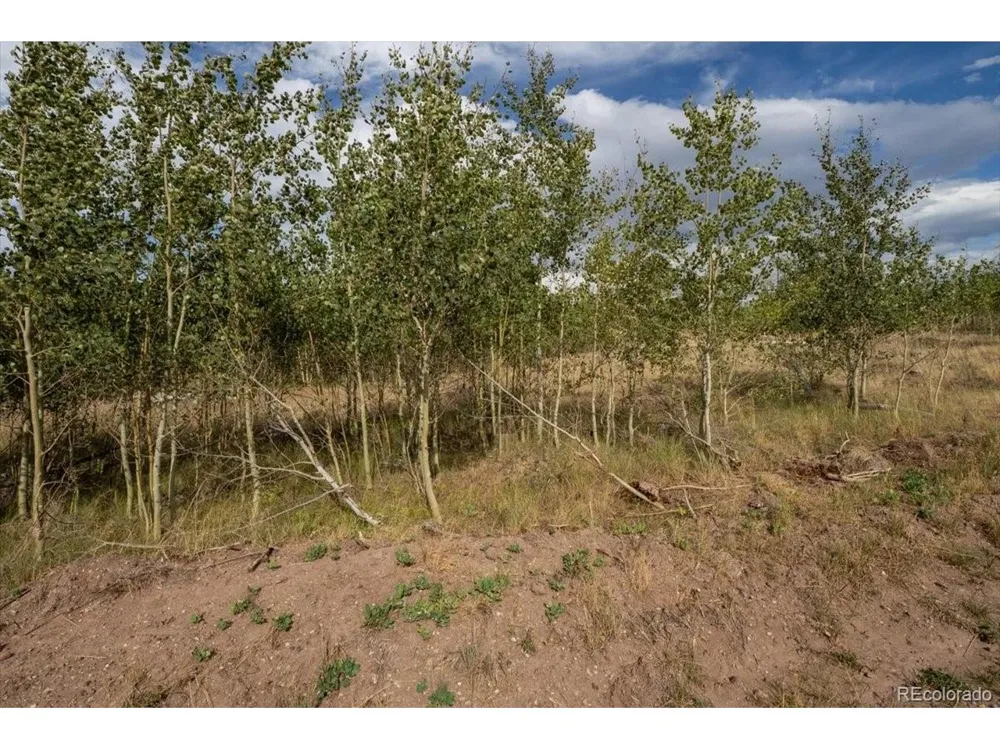 1316 Biaggini Lane Fort Garland, CO 81133