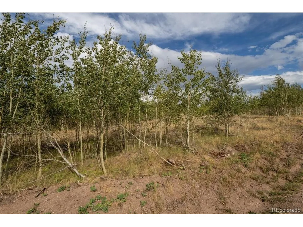 1316 Biaggini Lane Fort Garland, CO 81133