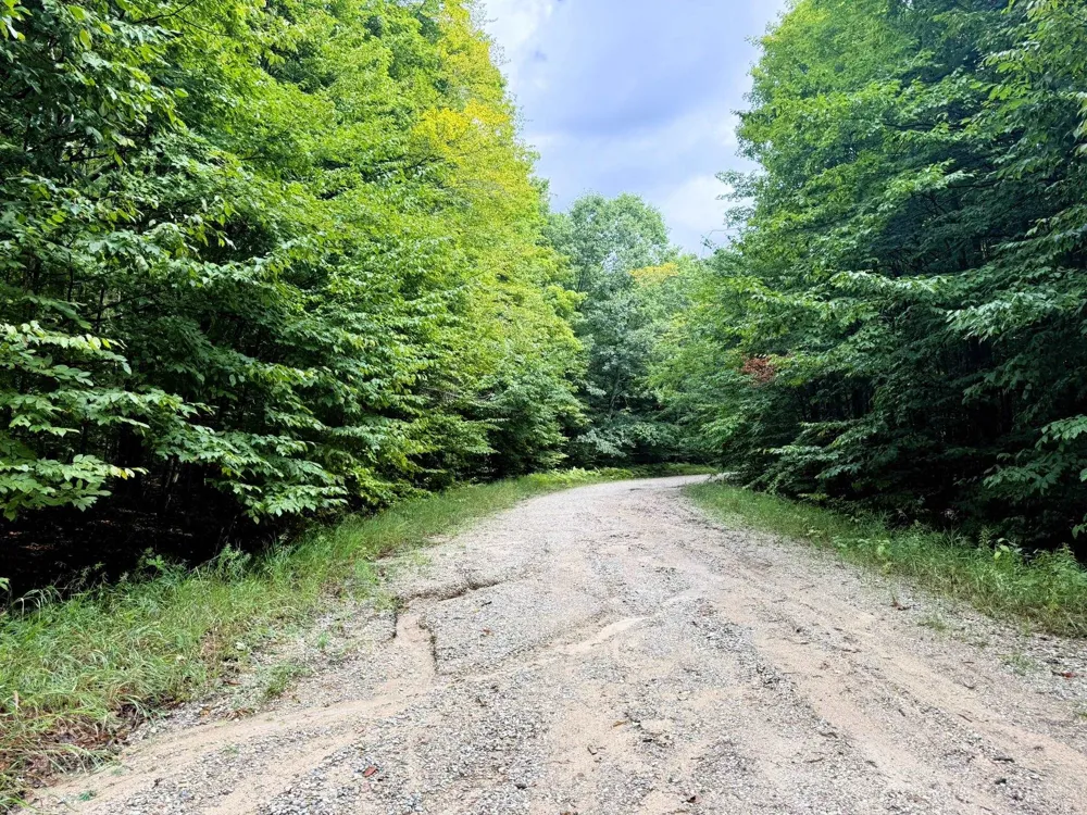 Edelweiss Drive Kearney Township, MI 49615