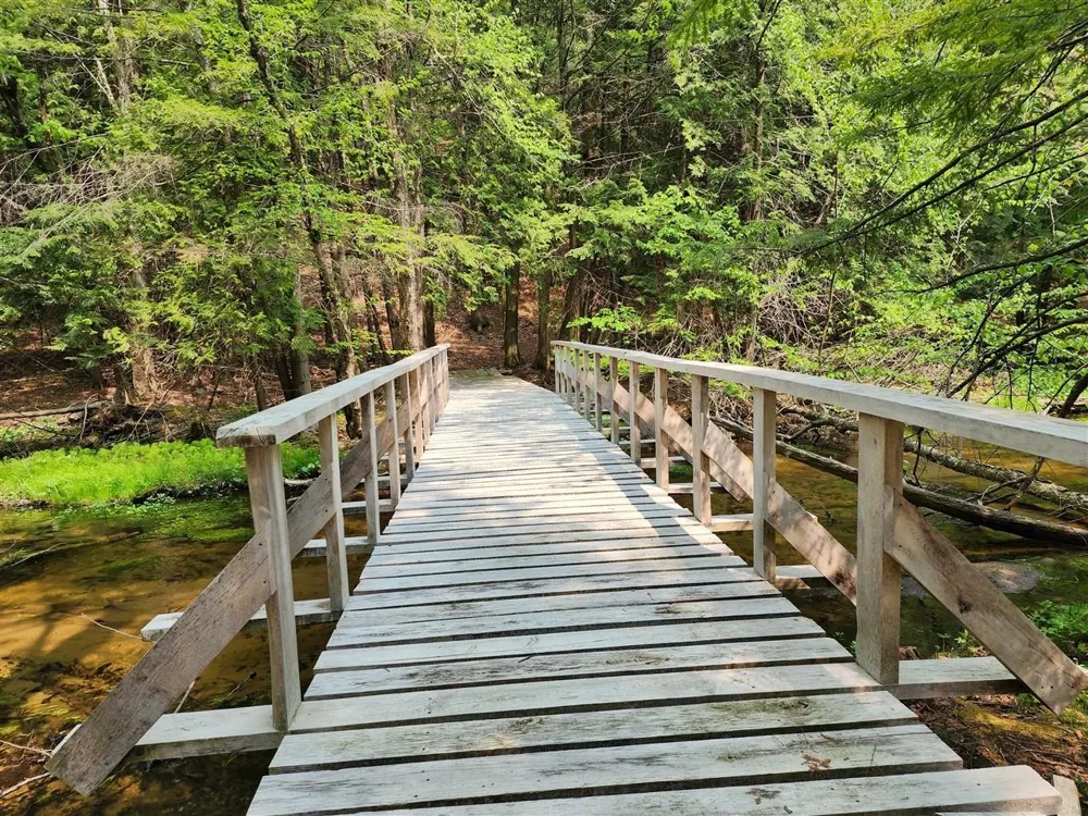 Cedar Valley Ridge Drive Long Lake Township, MI 49684