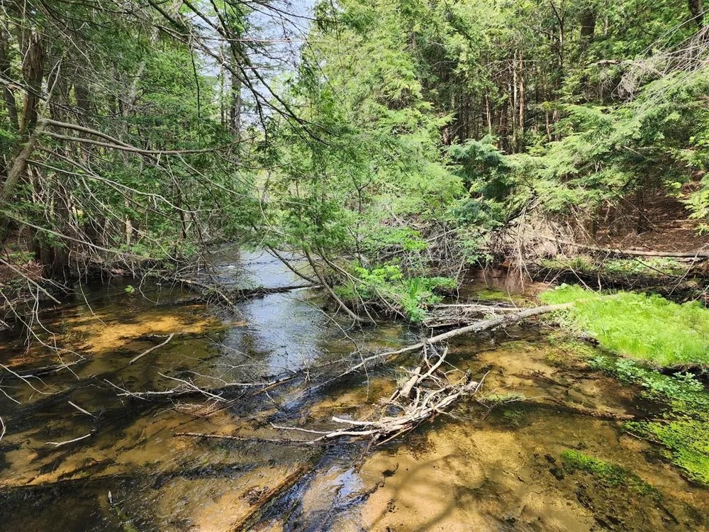 Cedar Valley Ridge Drive Long Lake Township, MI 49684