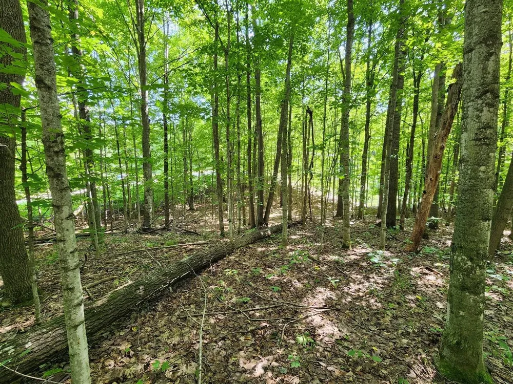 Cedar Valley Ridge Drive Long Lake Township, MI 49684