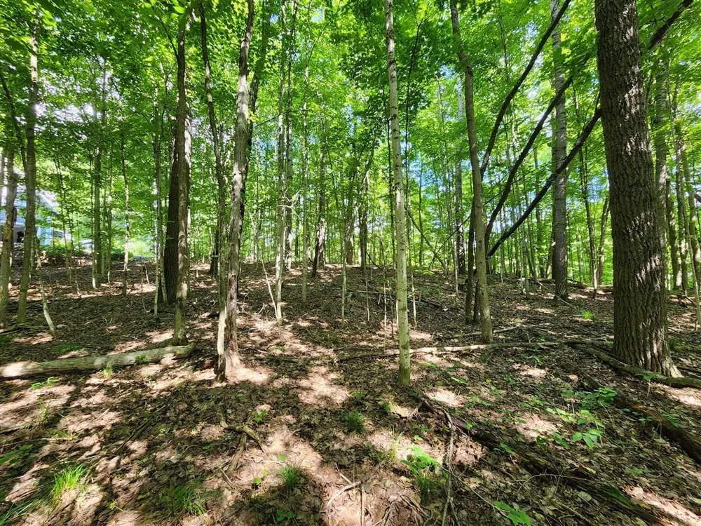 Cedar Valley Ridge Drive Long Lake Township, MI 49684