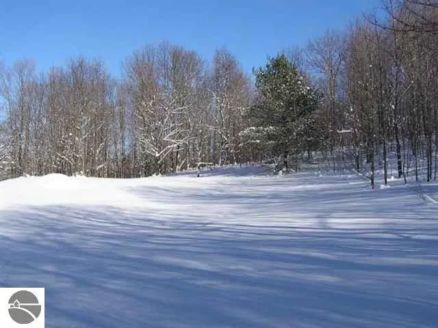 Cedar Valley Ridge Drive Long Lake Township, MI 49684