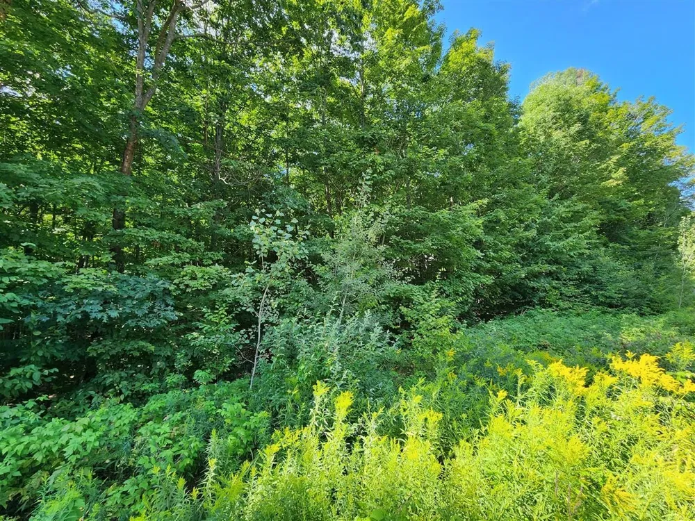 Cedar Valley Ridge Drive Long Lake Township, MI 49684