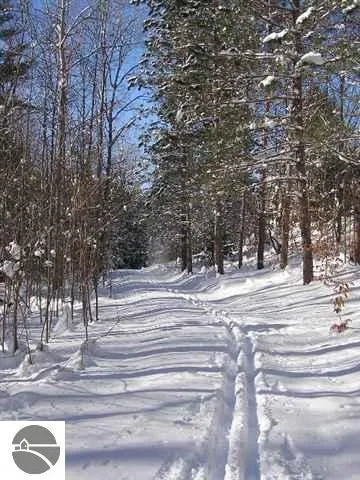 Cedar Valley Ridge Drive Long Lake Township, MI 49684