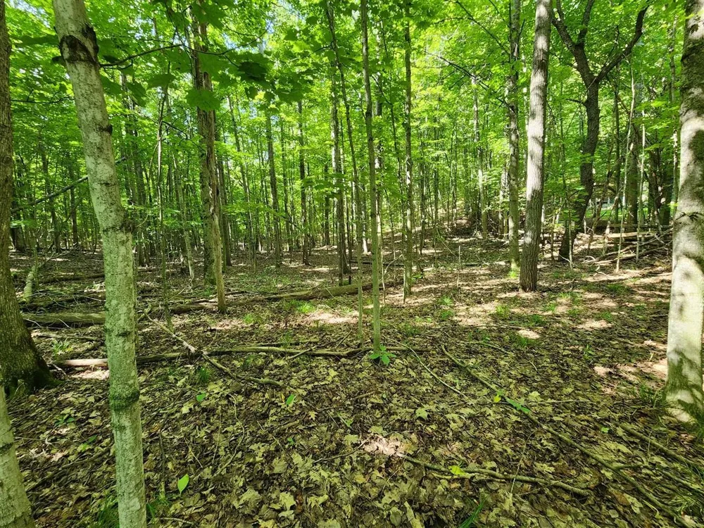 Cedar Valley Ridge Drive Long Lake Township, MI 49684