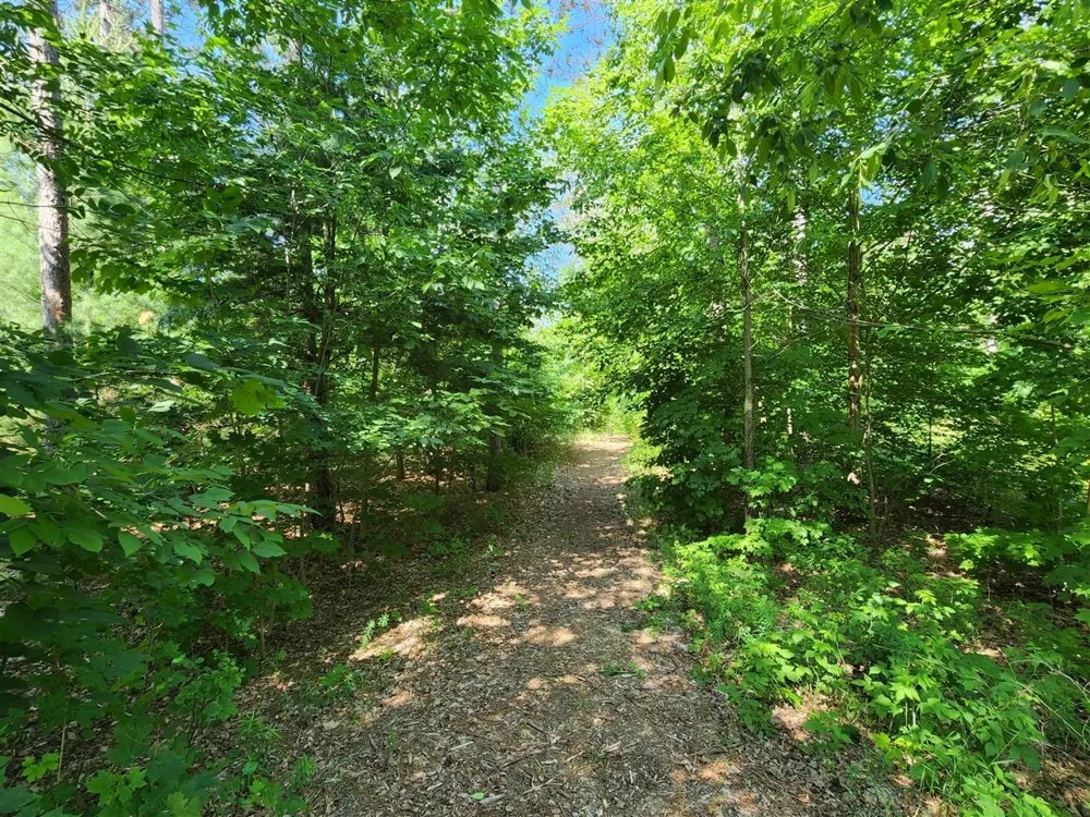 Cedar Valley Ridge Drive Long Lake Township, MI 49684