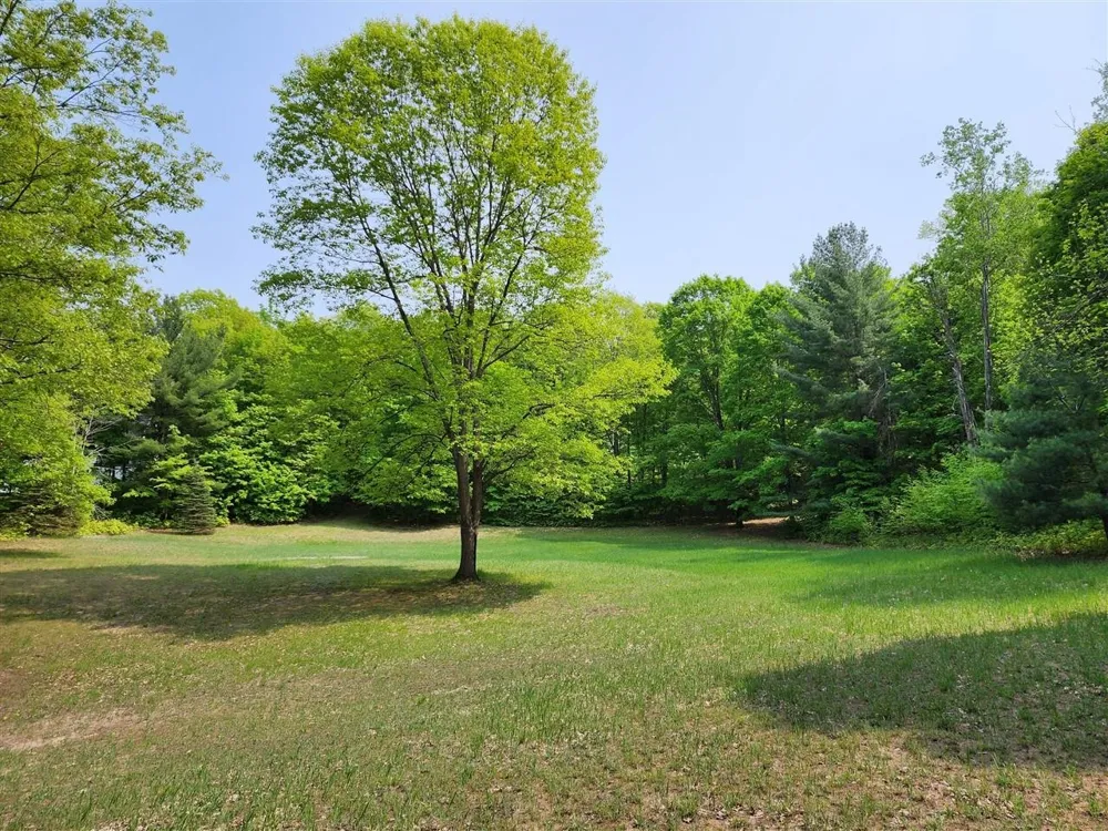 Cedar Valley Ridge Drive Long Lake Township, MI 49684