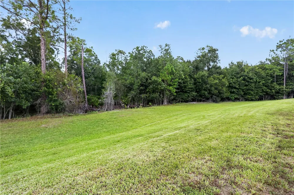 8831 GENEVE COURT Kissimmee, FL 34747