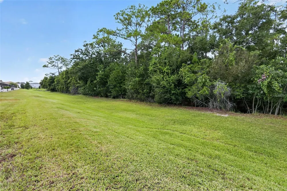 8831 GENEVE COURT Kissimmee, FL 34747