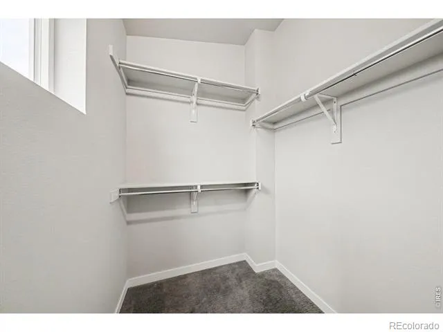 314 Green Leaf Street #8 Fort Collins, CO 80524