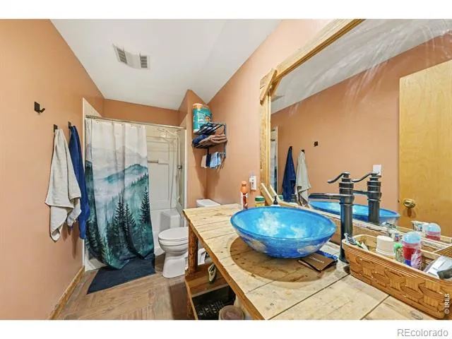 319 Springmeadow Way Red Feather Lakes, CO 80545