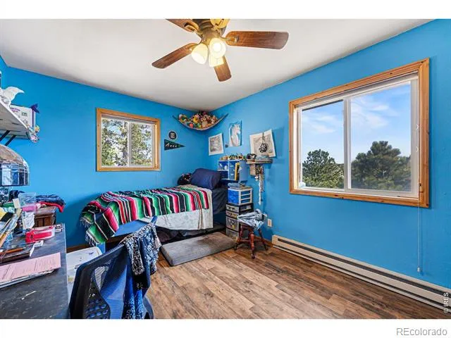 319 Springmeadow Way Red Feather Lakes, CO 80545