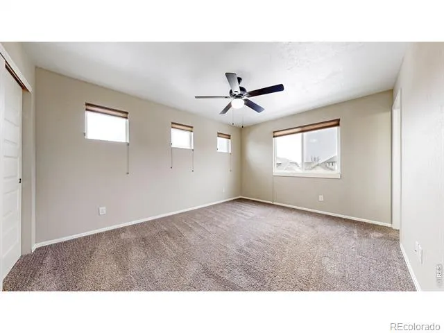 5543 Calgary Street Timnath, CO 80547