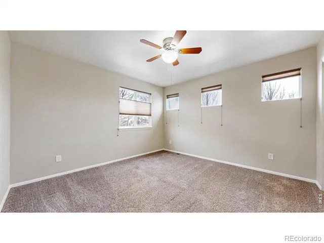 5543 Calgary Street Timnath, CO 80547