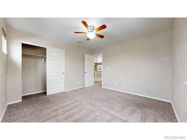 5543 Calgary Street Timnath, CO 80547
