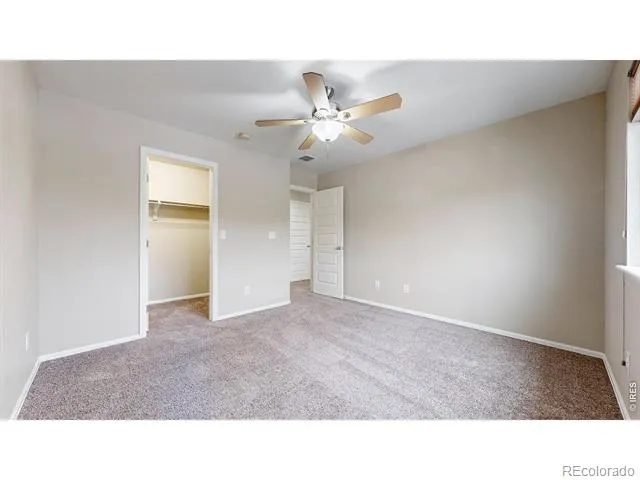 5543 Calgary Street Timnath, CO 80547