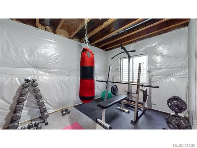 5543 Calgary Street Timnath, CO 80547