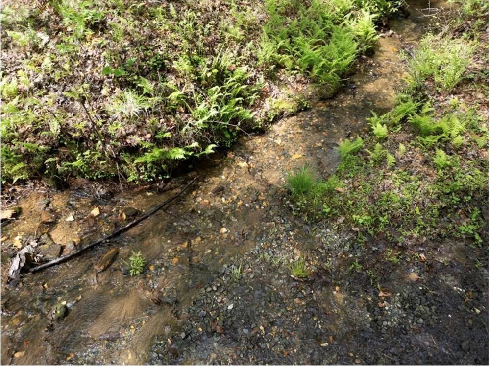 0 Shallow Water Way Talking Rock, GA 30175
