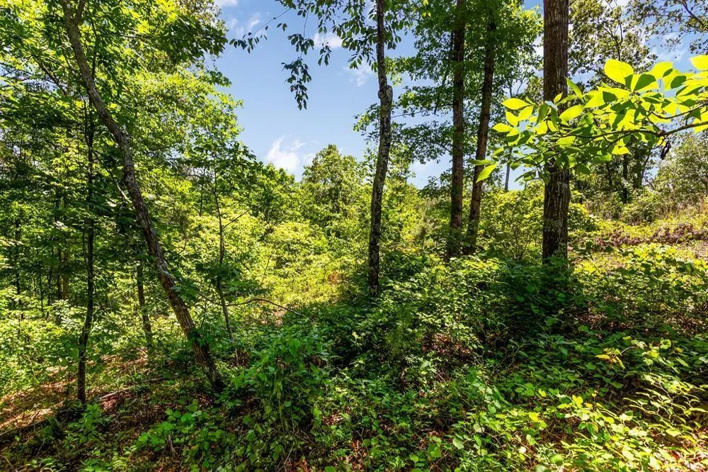 0 Shallow Water Way Talking Rock, GA 30175