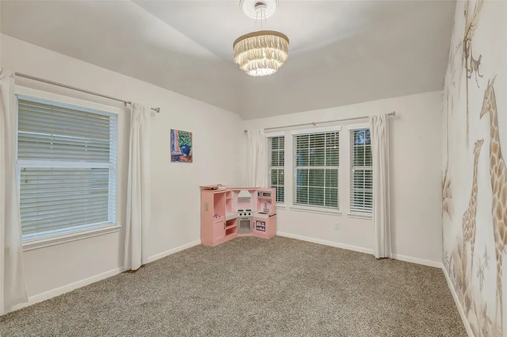 30214 Vinebriar Drive Spring, TX 77386