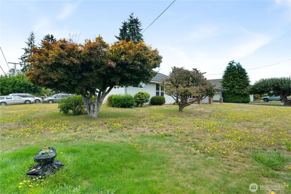 1206 E Park Avenue Montesano, WA 98563