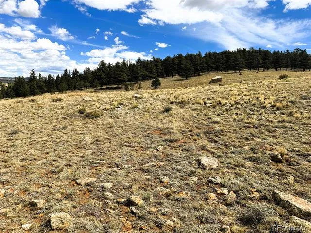 00 Sioux Road Hartsel, CO 80449